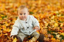 Mit dem Ersparten einen herbstlichen Ausflug machen